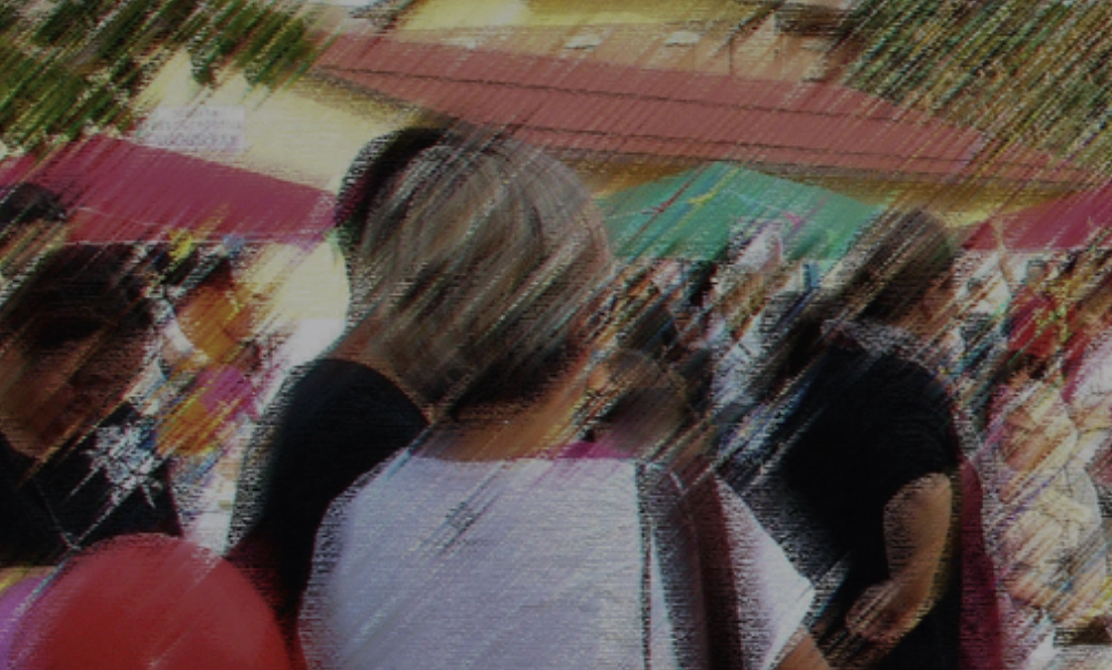 Immagine multimediale: Vignola Partecipa